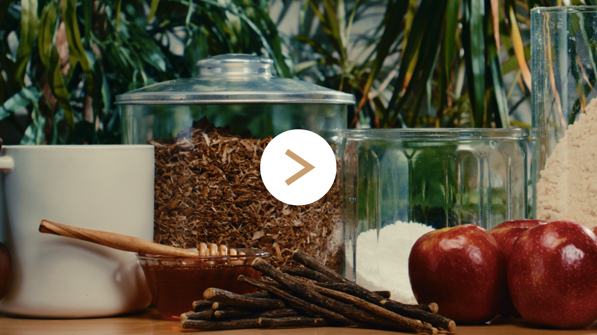 Ingrediants Video Play